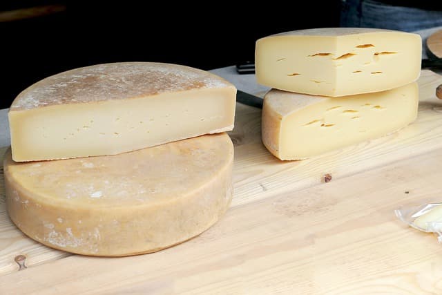 O queijo é uma excelente fonte de proteina