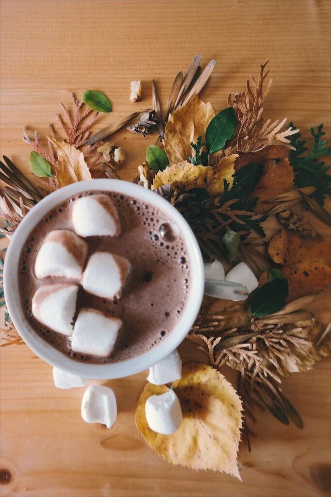 Imagem mostra uma xícara de chocolate quente com marshmallow.