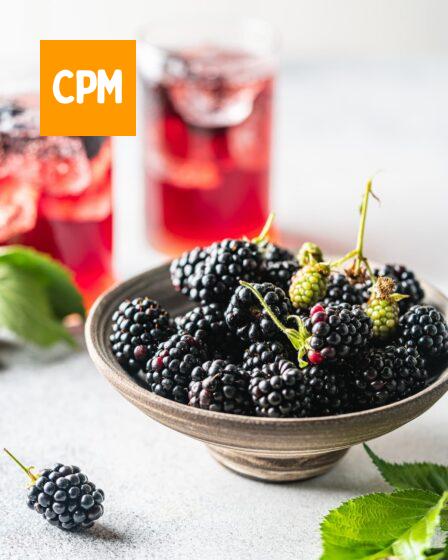 Imagem mostra amoras maduras