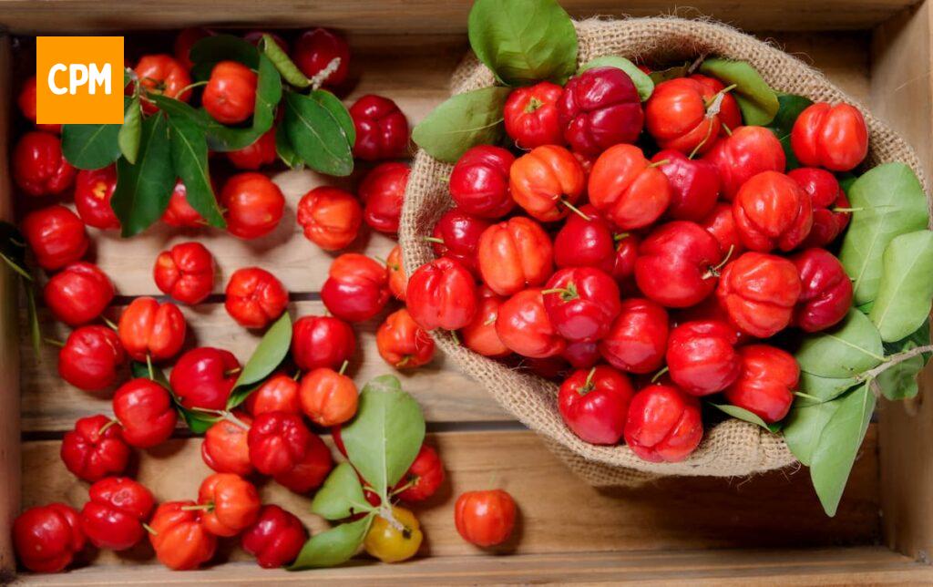 Imagem mostra acerolas fresquinhas para um suco de acerola saboroso e muito nutritivo.