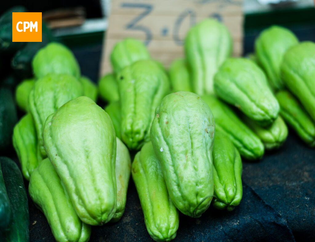 Imagem mostra chuchus fresquinhos prontos para preparar uma receita de chuchu deliciosa.