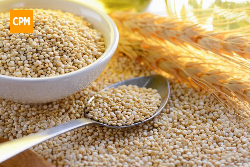 Imagem mostra quinoa branca, alimento muito usado em dietas vegetarianas e veganas.