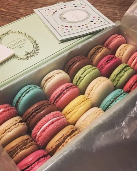 Imagem mostra Macaron colorido em uma embalagem